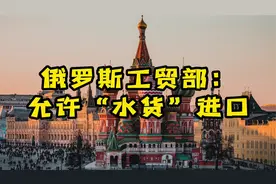 俄罗斯允许水货进口，印尼暂停棕榈油出口，埃及又出新政视频封面