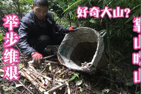 举步维艰的大山里，农民如何靠山吃山？这生存毅力你好奇吗？视频封面