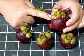 原来打开山竹这么简单，上边有个“小机关”，学会，轻松吃到果肉