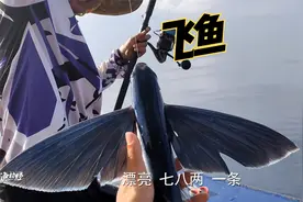 这种传说神话中的飞鱼，要怎么钓呢？用这个方法，一看就会
