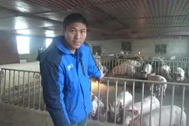 湖南小伙教你如何养母猪，直言外二元最好，他说的是真的吗？