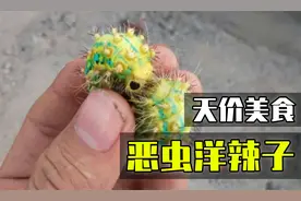 恶虫洋辣子：从童年阴影到天价美食，体内两条经脉还藏着秘密！视频封面