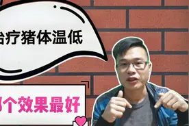 治疗猪体温低的3种针剂，哪个效果最好？阿豪详细给你分解视频封面