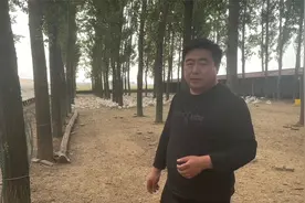 小鹅两眼无光不吃食？老张：天数不同，解决办法不同，需对症下药视频封面