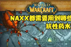 纳克萨玛斯攻略之-抗性药水需求简单梳理-魔兽世界怀旧服-视频封面