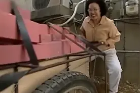 搞笑一家人：母子好有默契，母亲徒手推车，儿子徒手搬沙发视频封面