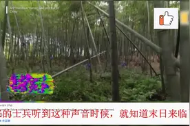 中国无人机群自主穿越竹林震惊老外，这是士兵的天敌！视频封面