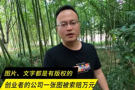 因一张图涉嫌侵权被索赔万元，今后自己出去拍照再也不担心版权了视频封面