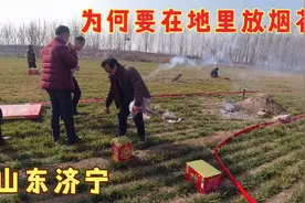 济宁，过年祭拜祖先红刚拿了四盘鞭炮，老婆嫌我拿得多，四盘多吗视频封面