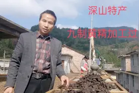 今天给朋友们介绍，九制黄精的选材和加工方法，请大家多多指导视频封面