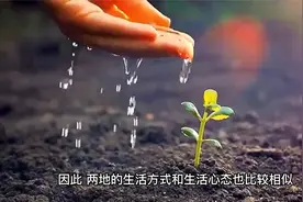 内蒙古人怎么看待蒙古国人视频封面