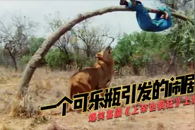 一个可乐瓶落入非洲原始部落，引发一连串爆笑闹剧，上集视频封面