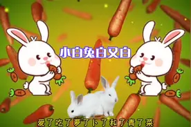 儿歌多多，儿歌早教0-3岁儿歌童谣，100首最火宝宝早教网红儿歌。