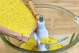 把小米倒入破壁机中，出锅瞬间变美食，第一次见这种做法，真好吃视频封面