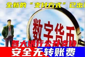 全新的“支付方式”已出现，各大银行公开支持，安全无转账费视频封面
