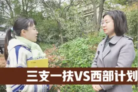 三支一扶和西部计划应该报考哪个视频封面