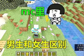 我的世界：男玩家和女玩家的区别，小动物这么可爱为什么要吃？