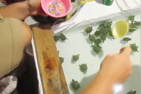 游乐场里最赚钱的小买卖，即使顾客再厉害，也从来没亏本过视频封面