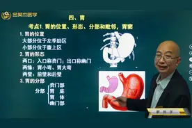 解剖学02消化系统04胃：位置、形态、分部组成，前后壁、胃底毗邻视频封面