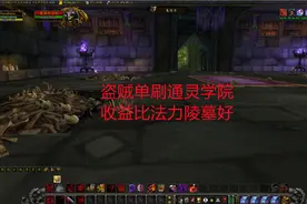 魔兽世界怀旧服：盗贼单刷通灵学院，收益比法力陵墓好视频封面