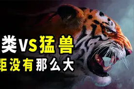 人类的徒手战力有多强？堪比猛兽的攻击部位，哪一个都不容小觑视频封面