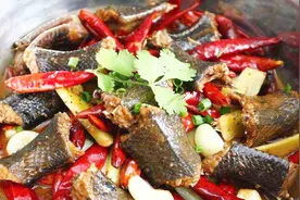 舌尖上的经典：宁乡口味蛇！