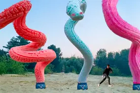 难以置信的科学小实验！可乐和口香糖放在一起，化学反应威力巨大