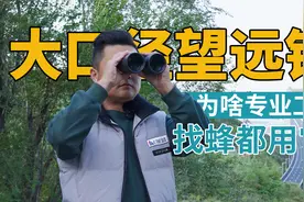 专业人士找蜂，为什么都用这个大口径的望远镜？详细测评捕手56ED视频封面