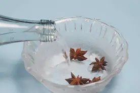 厨房中蚊虫活跃，白醋加上它，轻松驱赶蚊虫视频封面