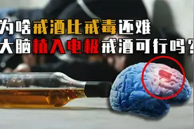 为什么说戒酒比戒毒还难？酒精如何改变你的大脑？看完直冒冷汗！