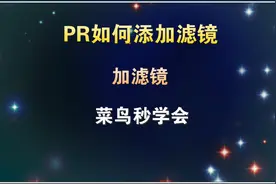 PR如何添加滤镜，菜鸟2分钟学会，学浪计划