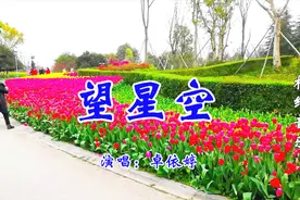 卓依婷这首《望星空》听得眼泪止不住地流，太感动人！视频封面