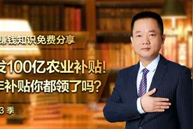 又发了100亿补贴！每年的补贴你领了吗？视频封面