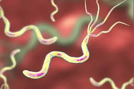 我国Hp（幽门螺旋杆菌）感染率约50%，无知导致传染给了孩子！