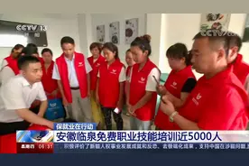 保就业在行动 安徽临泉免费职业技能培训近5000人视频封面