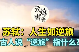 苏轼：人生如逆旅，我亦是行人。意味深长，读懂了受益终身！视频封面