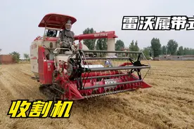 新款雷沃履带式收割机，130马力发动机，干活就是有劲视频封面