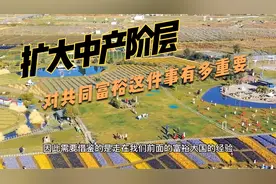 扩大中产阶层对实现共同富裕有多重要？视频封面