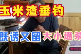 嫩玉米这样制成玉米渣,大鲫大鳊不挡口,引来鱼儿竞相留视频封面