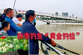 真是疯狂！立秋后的第一个“爆护”是这样的钓位，钓友们要留意视频封面