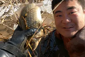 小伙河道破冰抓鱼，扒开芦苇荡这景象太惊人了，噼里啪啦的乱跑视频封面