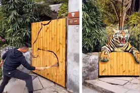 7个天赋异禀的人，教你画虎，加“亿点”细节老虎就活了？视频封面