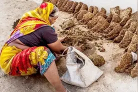 印度妇女每天光脚丫，在自家门口粉刷牛粪，原因让人一头雾水