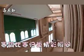 500公里信鸽比赛，冠军赛鸽归巢精彩瞬间！真是好鸽子！视频封面