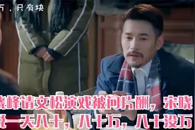 宋晓峰请文松演戏被问片酬，宋晓峰说一天八十，八十万，八十没万视频封面