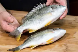 清蒸铜盆鱼经典海鲜做法，好食材无需点缀原汁原味即是美味