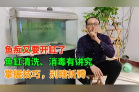 鱼缸清洗、消毒有讲究，掌握这些技巧，不再瞎折腾，鱼痴又开缸了