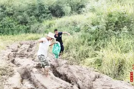 柒剑谷：稻田泥潭太深改换人工收割，一脚踩下去深至大腿无法自拔视频封面