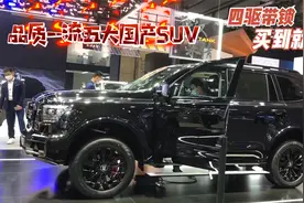 品质一流五大国产SUV！5米高配3.0T2.0T四驱带锁，买到就赚到视频封面
