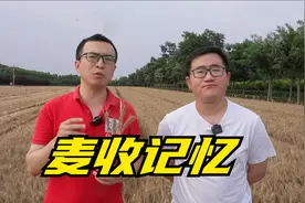20年前的怎么收麦子？华北平原的麦收记忆，为何说充满辛酸？视频封面